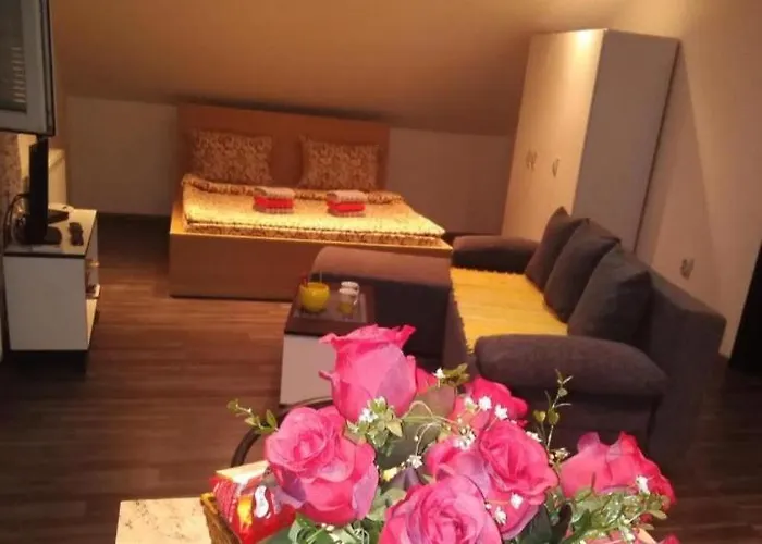 Happy House بلغراد